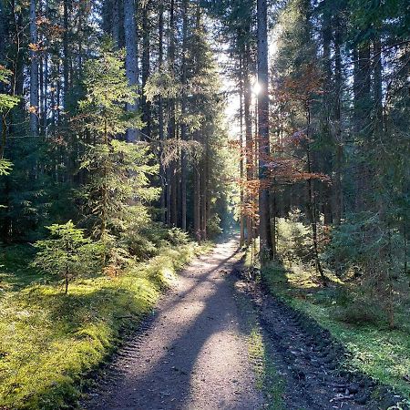 Ferienwohnung Waldblick Wilhelmsdorf Kültér fotó