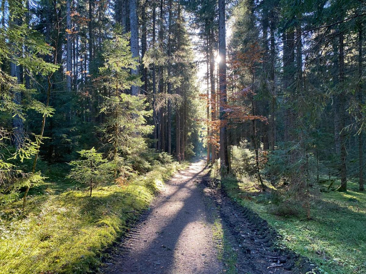 Ferienwohnung Waldblick Wilhelmsdorf Kültér fotó